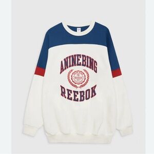 Anine Bing x Reebok sweatshirt